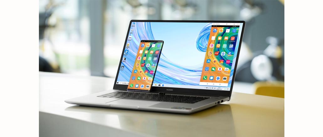 MateBook D Series