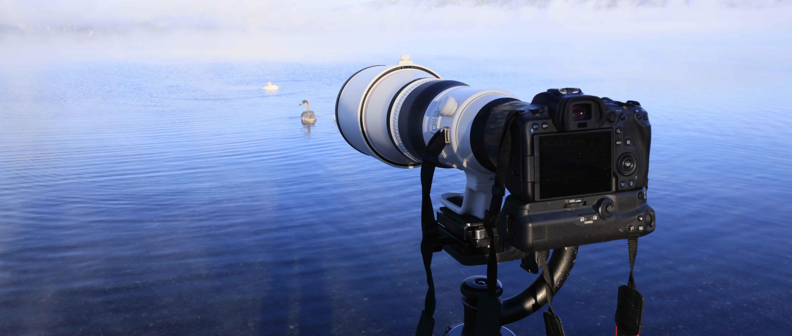Lensa Super Telephoto