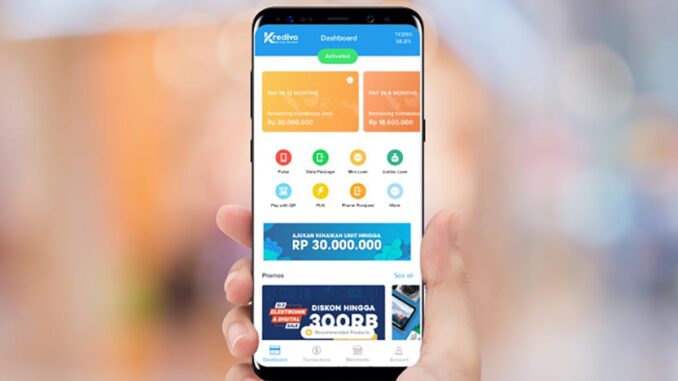 Paylater Pendanaan Ekuitaas