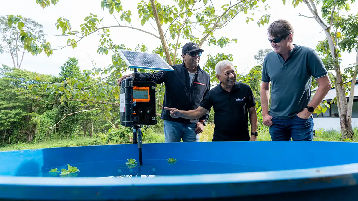 Digitalisasi Konservasi Mangrove